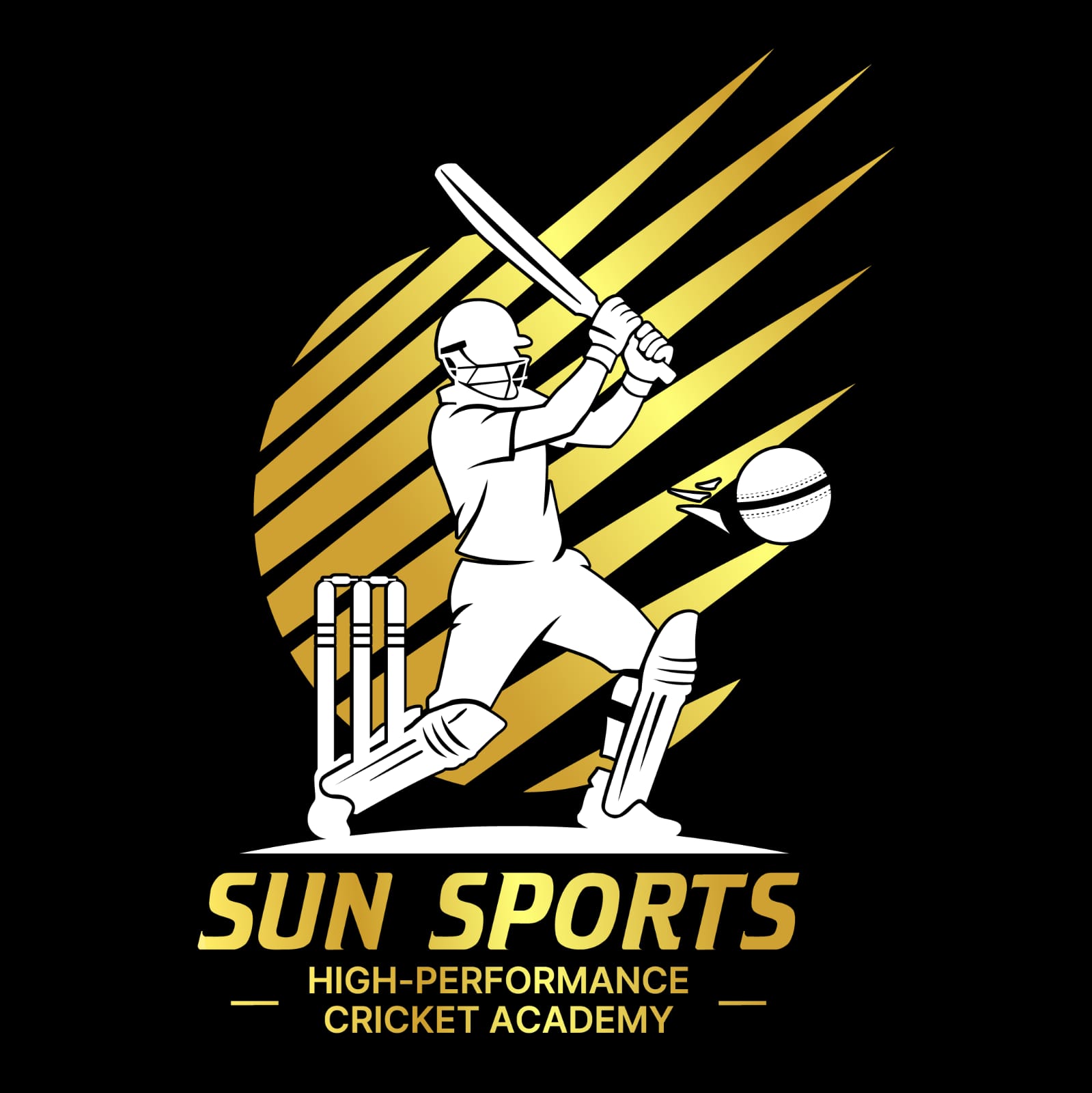 Sun Sports Cricket Academy Logo